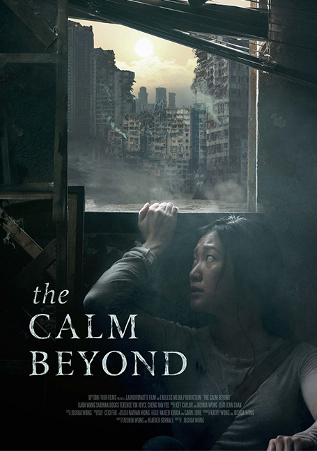 The Calm Beyond (2020)